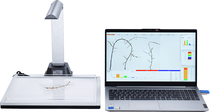 植物根系分析儀