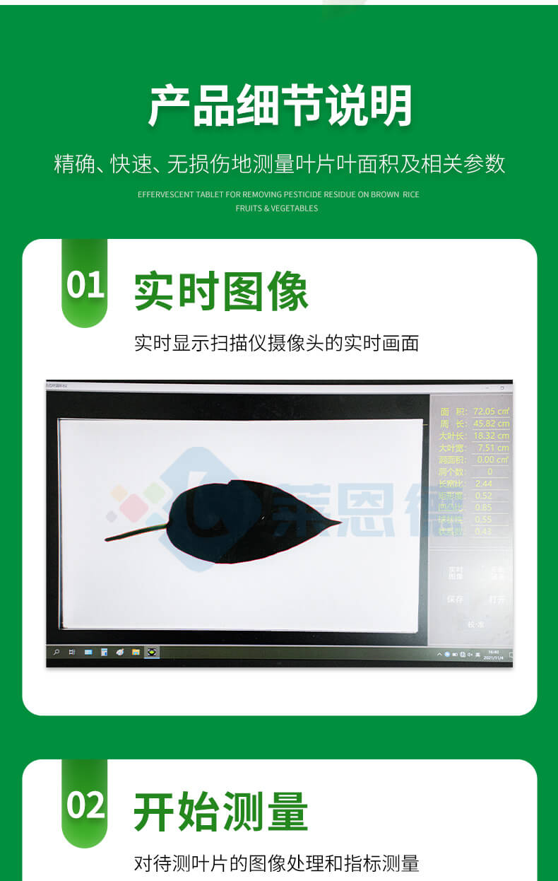 拍照式葉面積測量儀