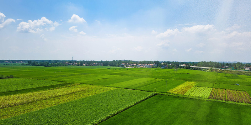 土壤養分檢測儀在農業施肥中的應用