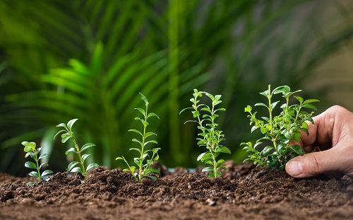 土壤養分快速檢測儀判斷養分盈虧