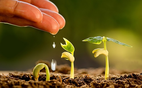 綠化種植土壤需要哪些檢測項目？