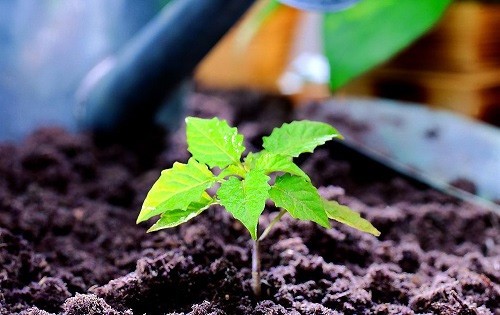 合作共贏！萊恩德土壤檢測設備助力生態園實現可持續發展