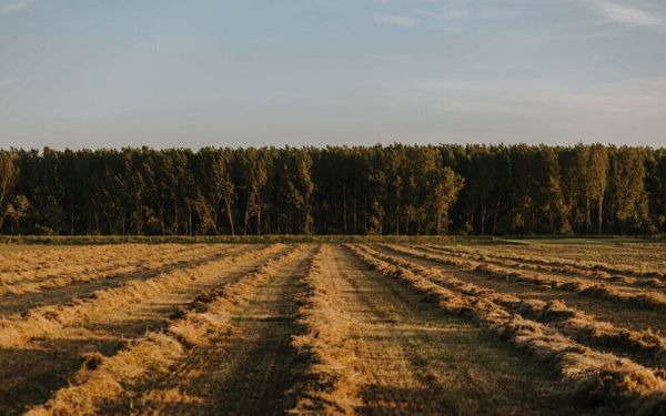 土壤養(yǎng)分檢測廠優(yōu)選萊恩德，萊恩德土壤儀器優(yōu)勢